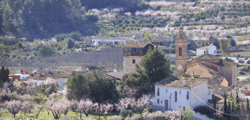 Feslalí - Alcalalí en Flor - Alcalalí Turismo