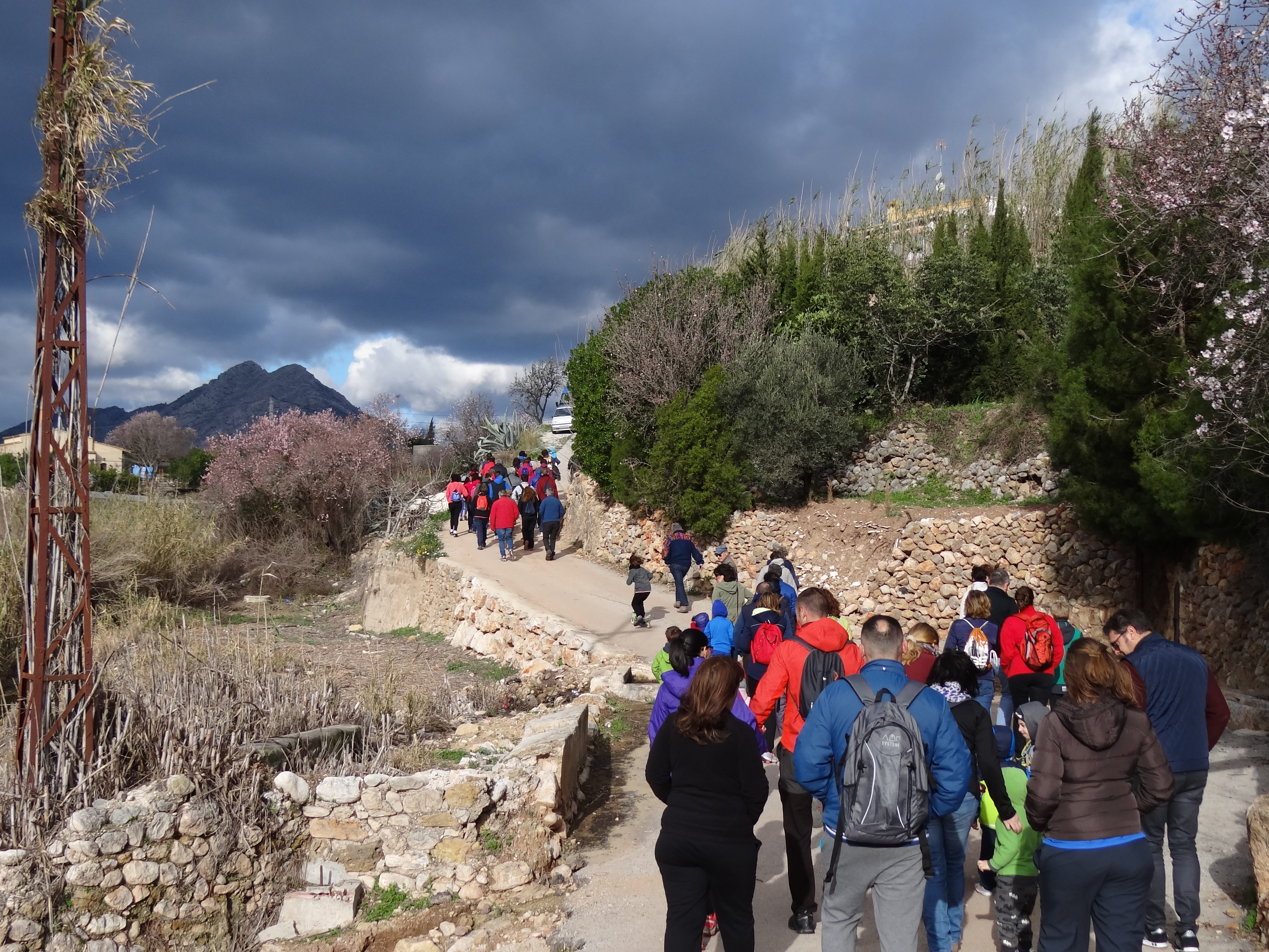 Caminatas familiares entre almendros en flor – Alcalalí