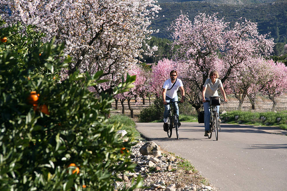 Feslalí – Alcalalí en flor – Alcalalí Turismo