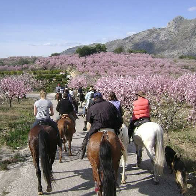 rutas ecuestres Alcalalí