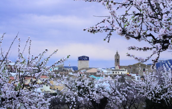 FESLALÍ, el febrer és Alcalalí.