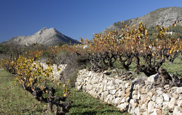 viñas y marge Alcalalí Turismo