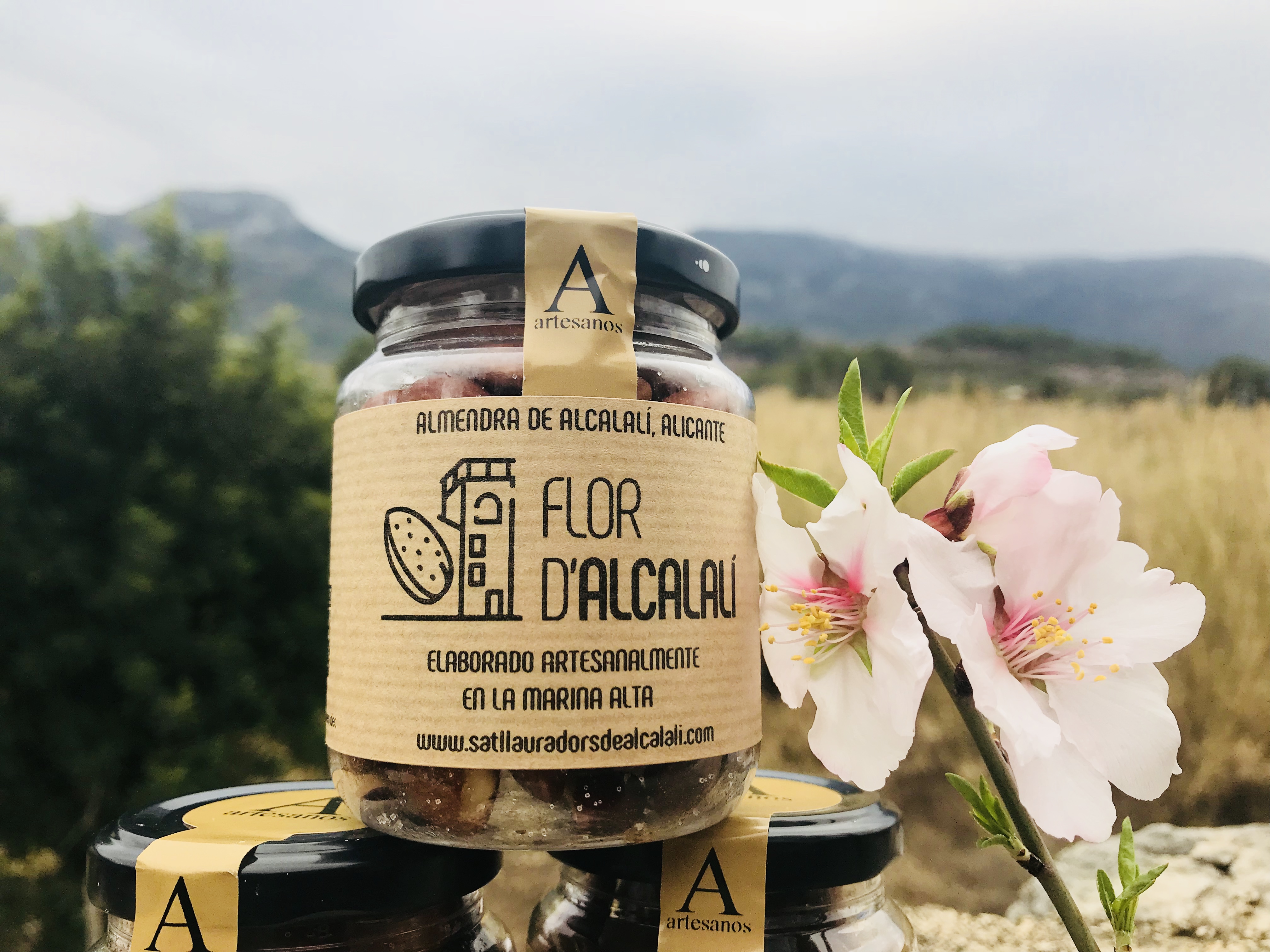 Almendra de Alcalalí