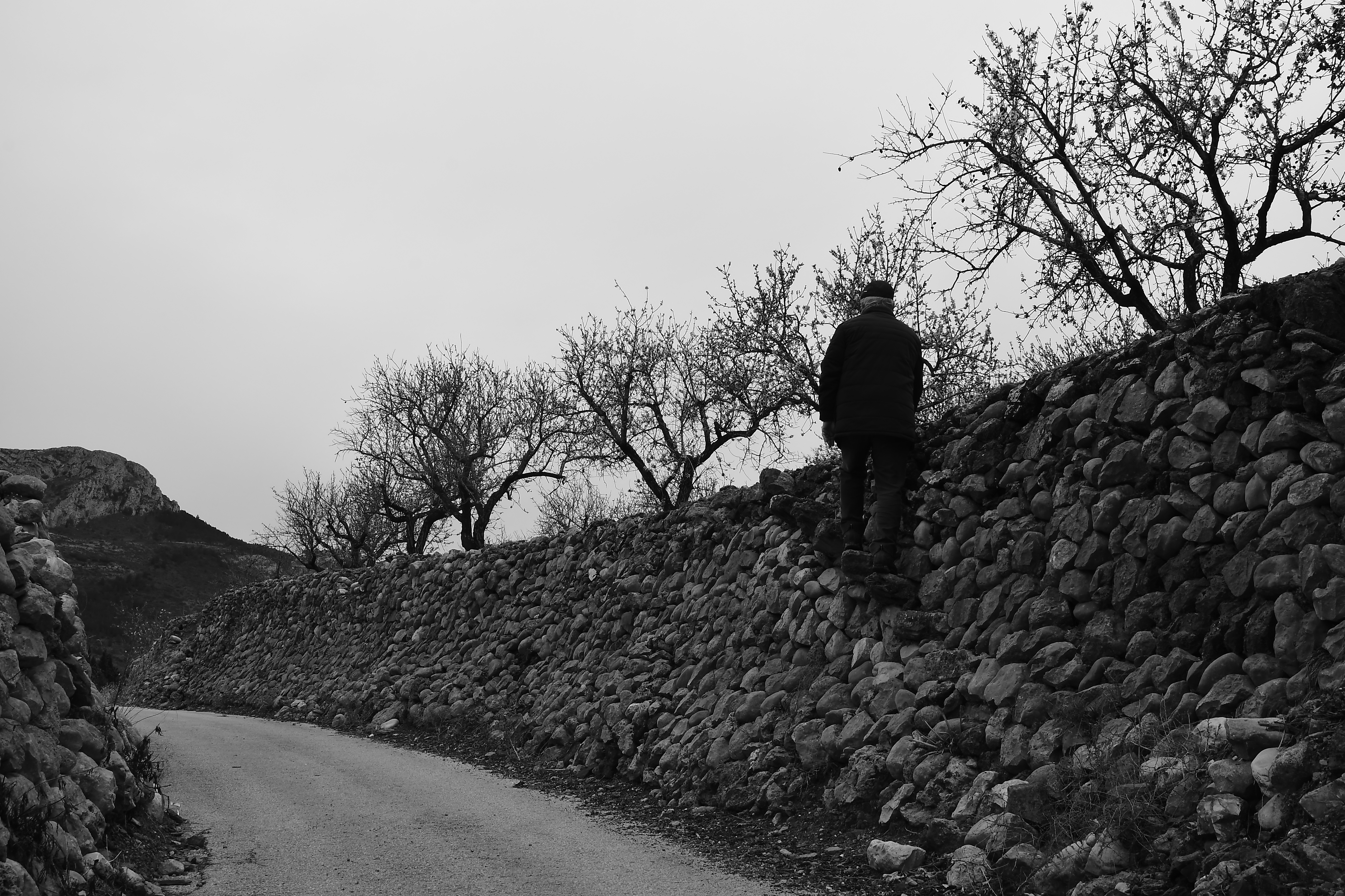 III Maratón Fotográfica Alcalalí en flor – Autor Jaime Boronat Soler – Arquitectura tradicional