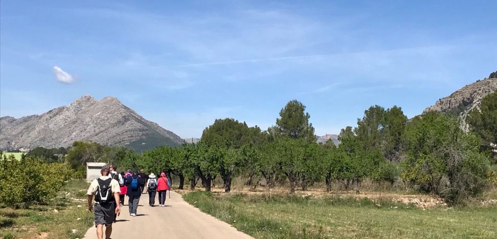 Ciclo de rutas guiadas en Alcalalí turismo