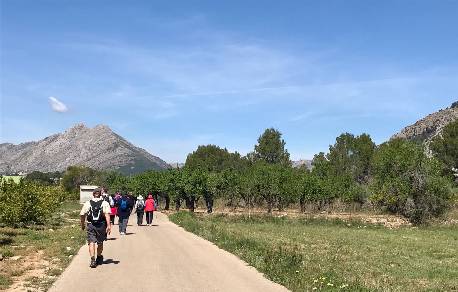 Ciclo de rutas guiadas en Alcalalí turismo