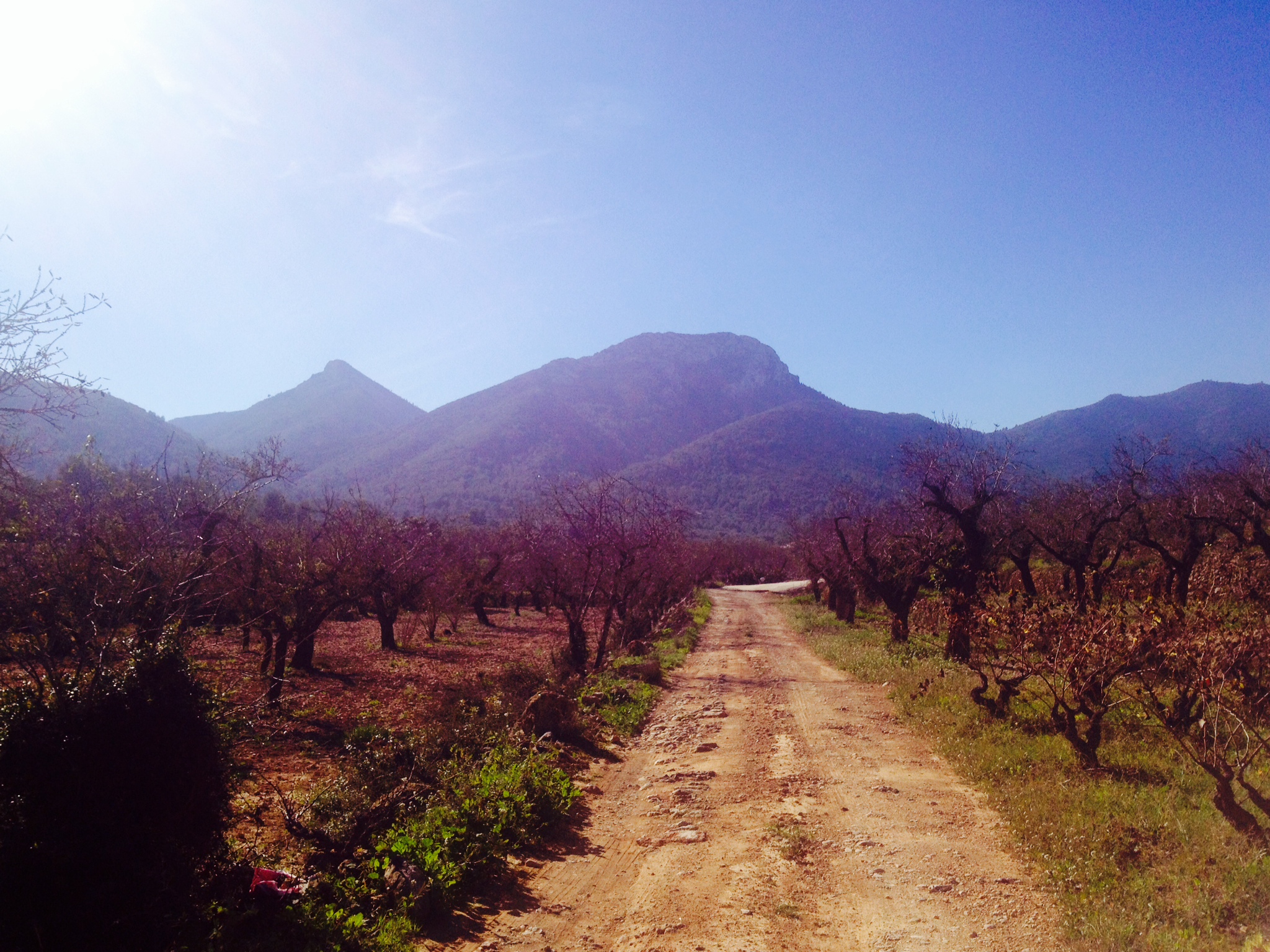 Alcalalí Vall de Pop