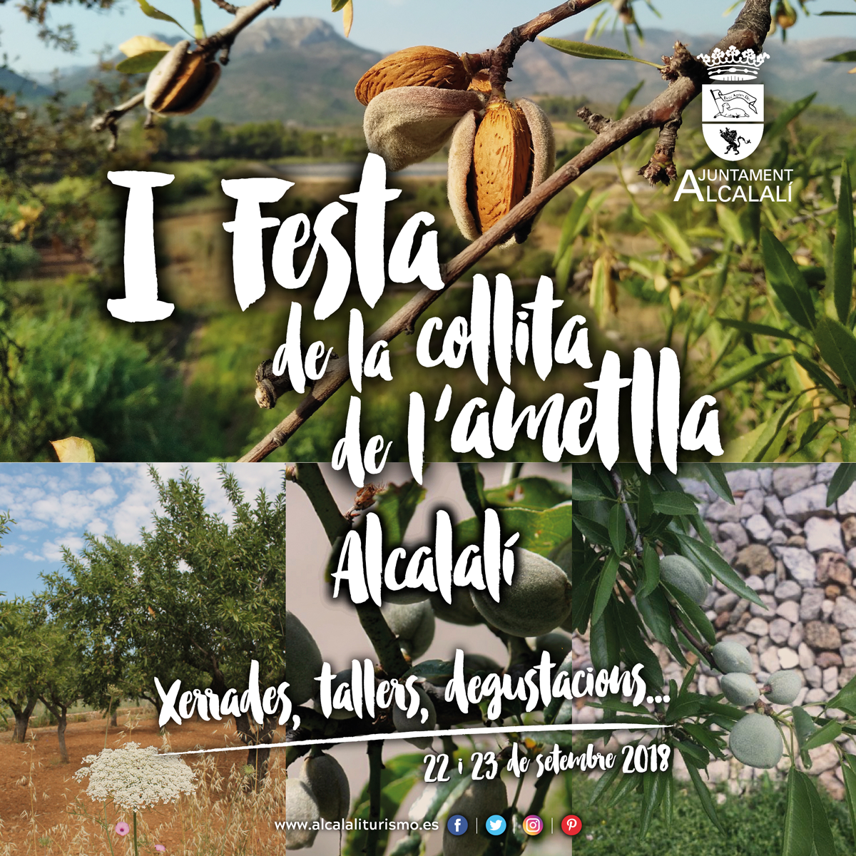 Festa de la collita de lametlla