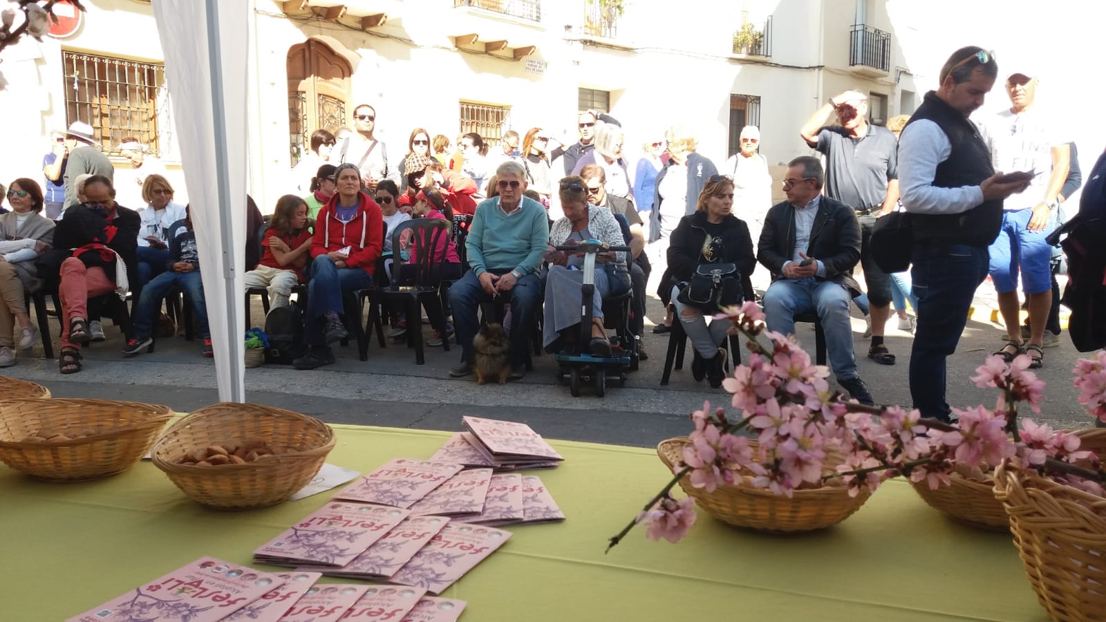 Feslalí, Alcalalí en flor – Cata de almendras