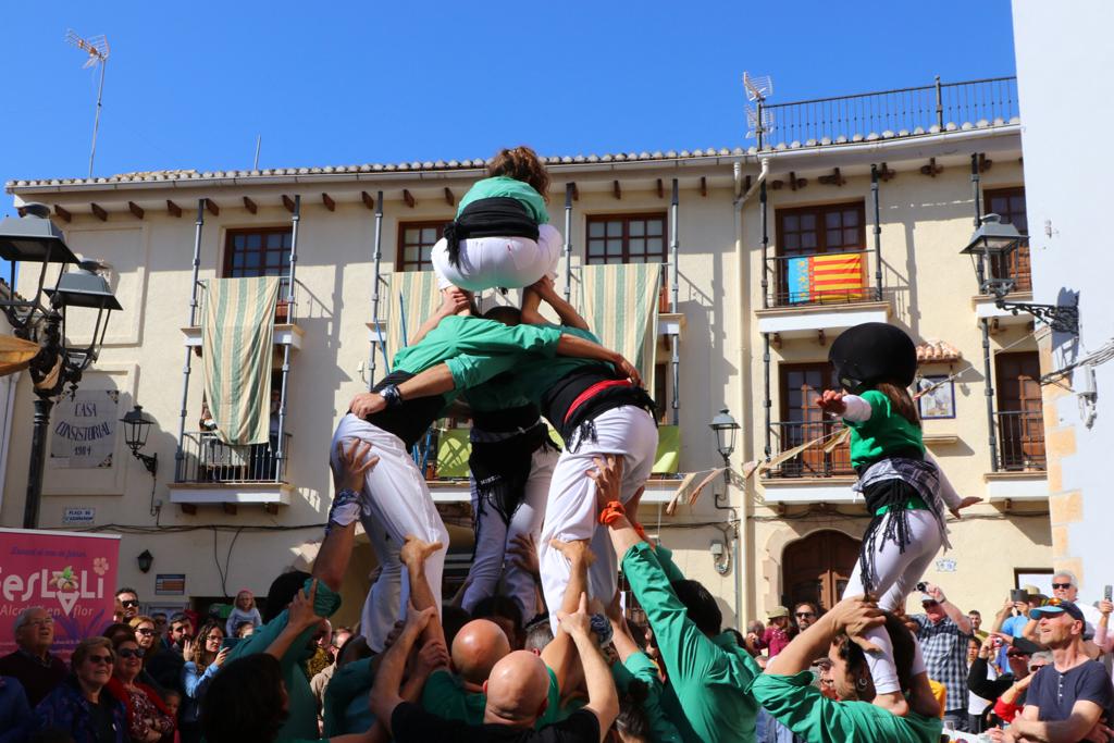 Feslalí, Alcalalí en flor