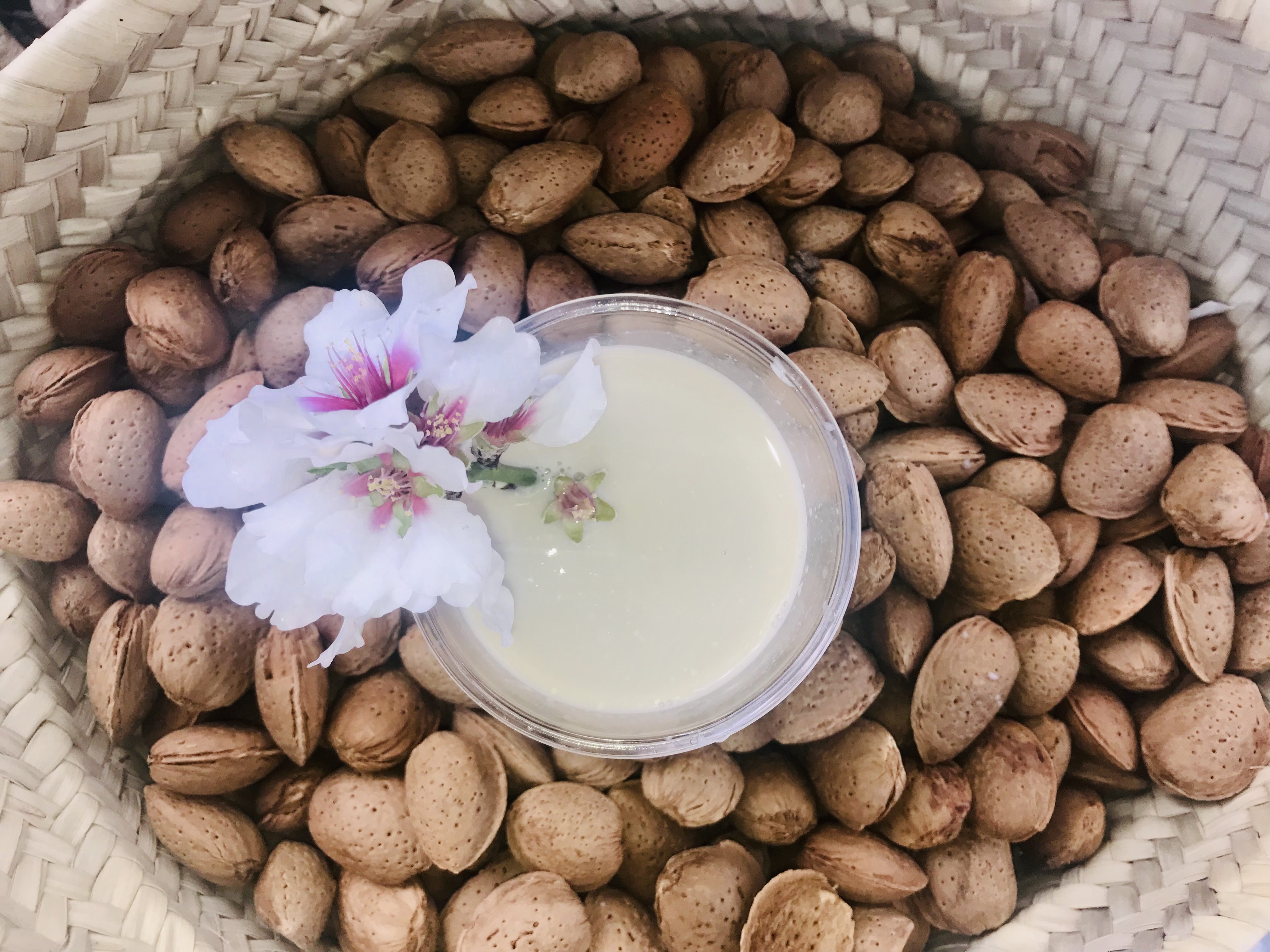 Leche de almendra – Rumbeta – Alcalalí