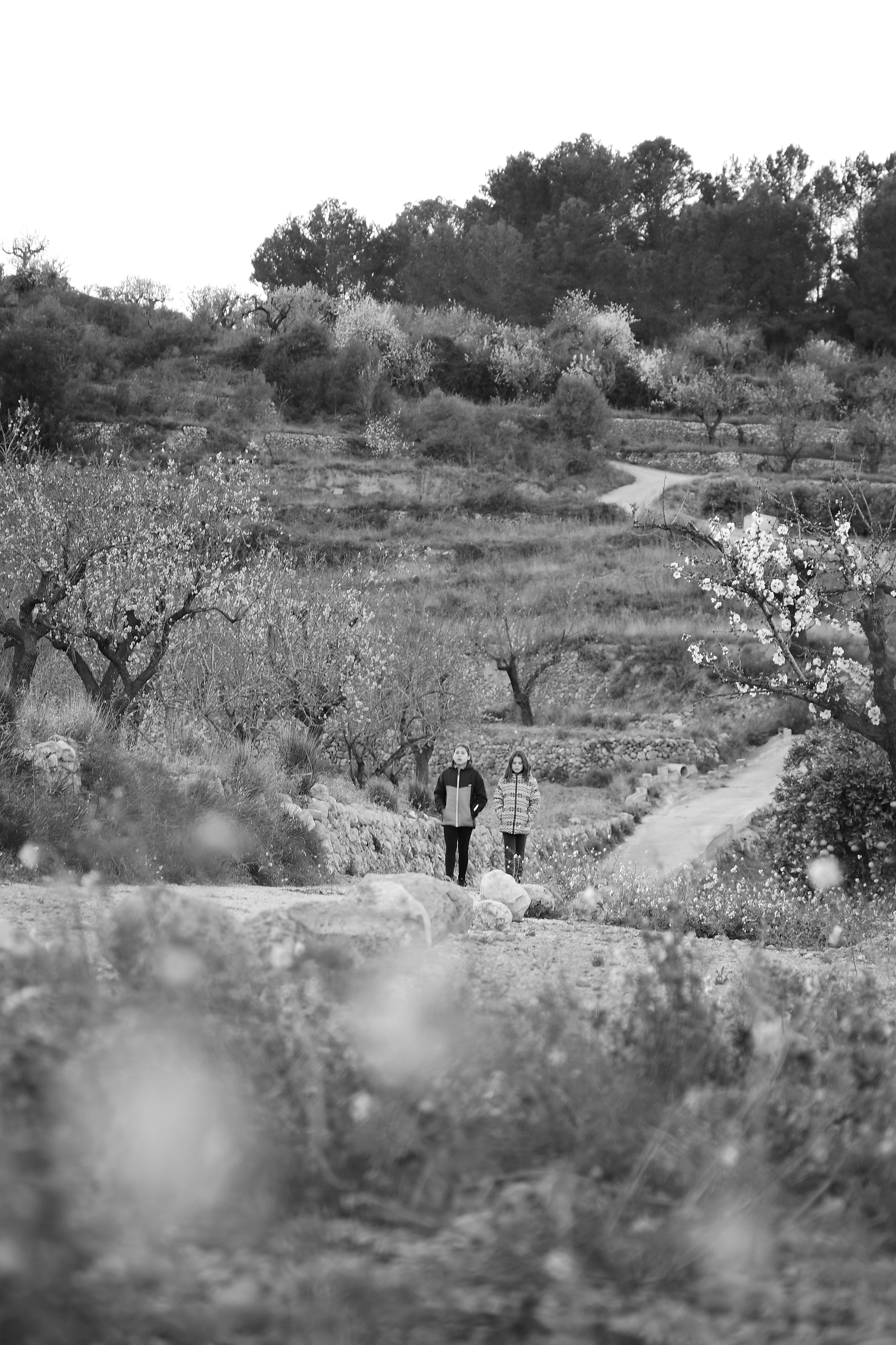 Maratón-Fotográfica-Alcalalí-En-Flor