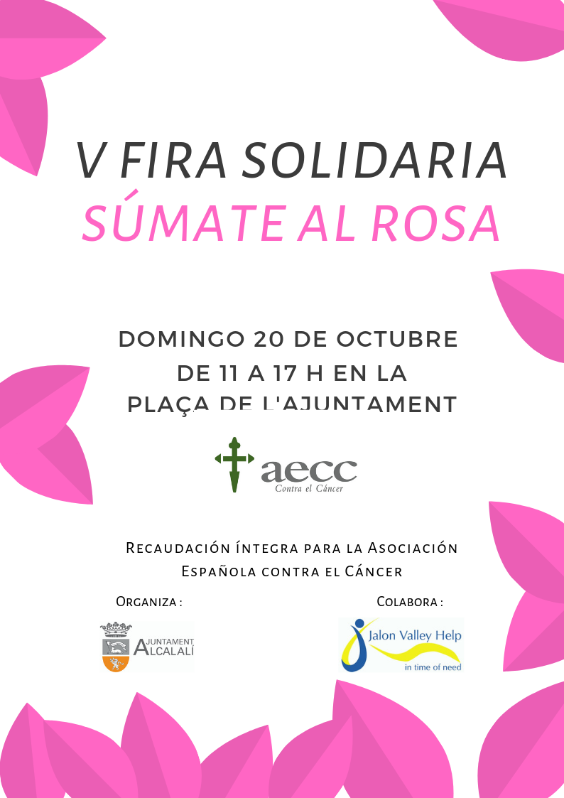 V Feria Solidaria