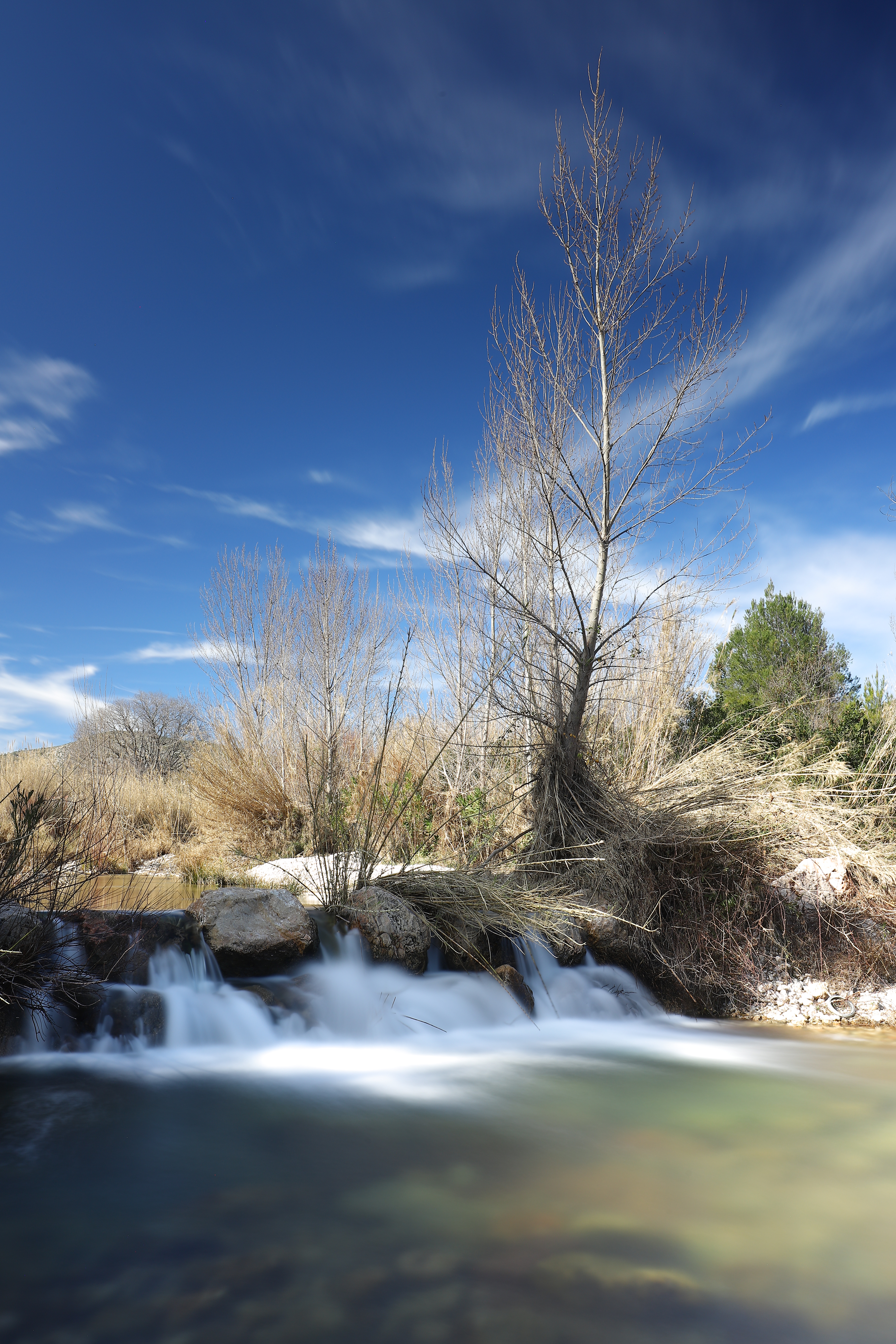 V MARATÓN FOTOGRÁFICA #ALCALALÍENFLOR – TEMÁTICA: RÍO