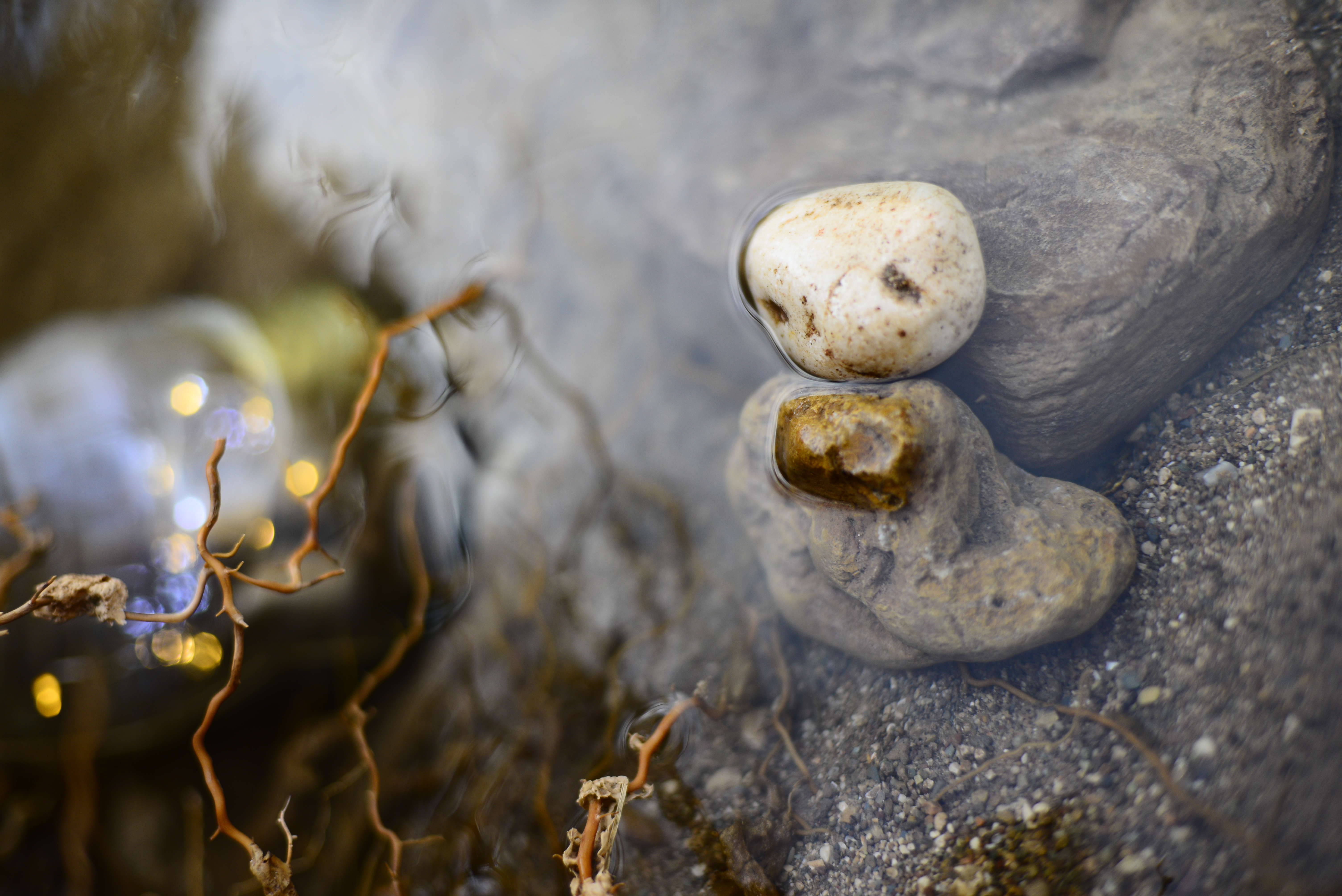 V MARATÓN FOTOGRÁFICA #ALCALALÍENFLOR – TEMÁTICA: RÍO