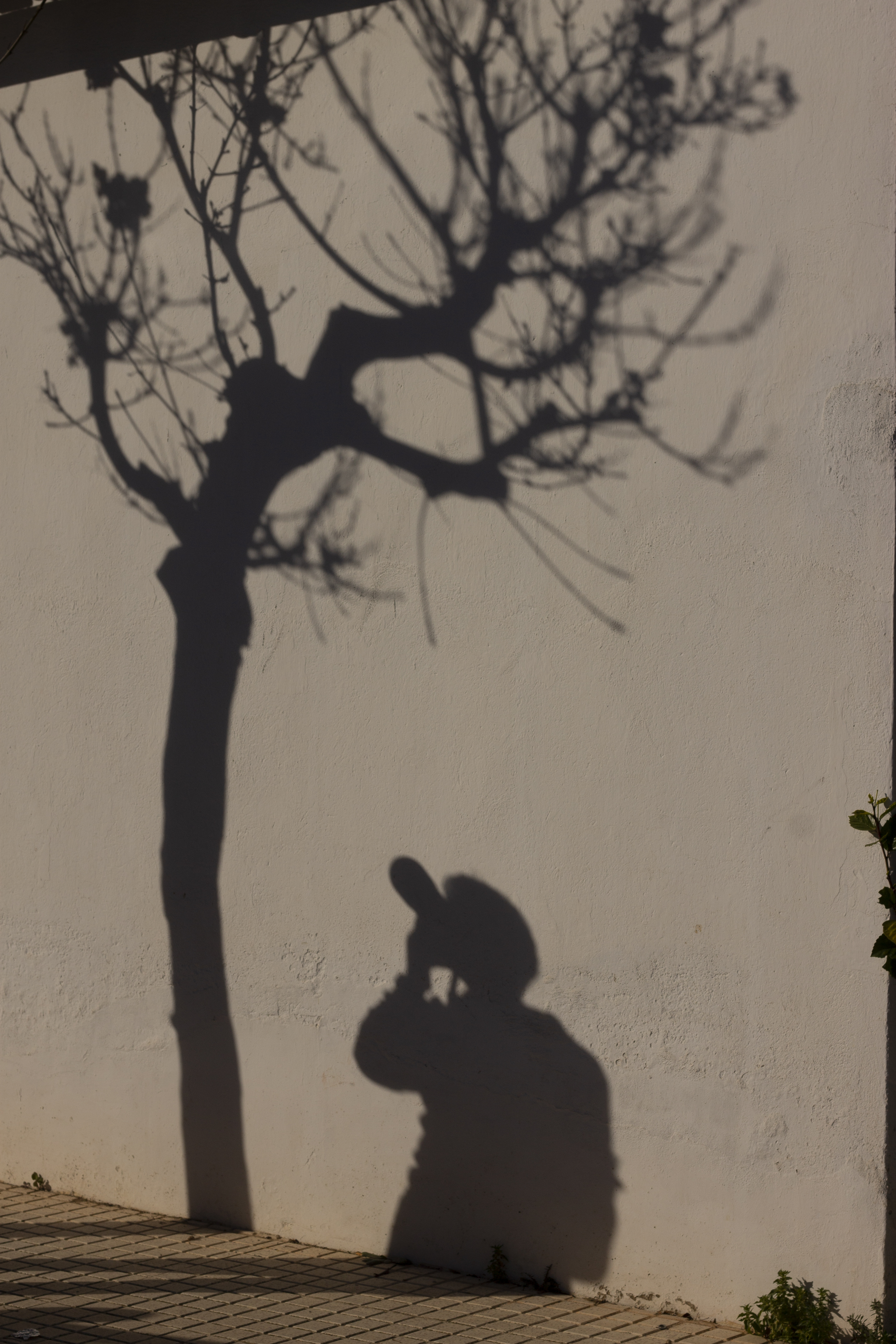 V MARATÓN FOTOGRÁFICA #ALCALALÍENFLOR – TEMÁTICA: LIBRE