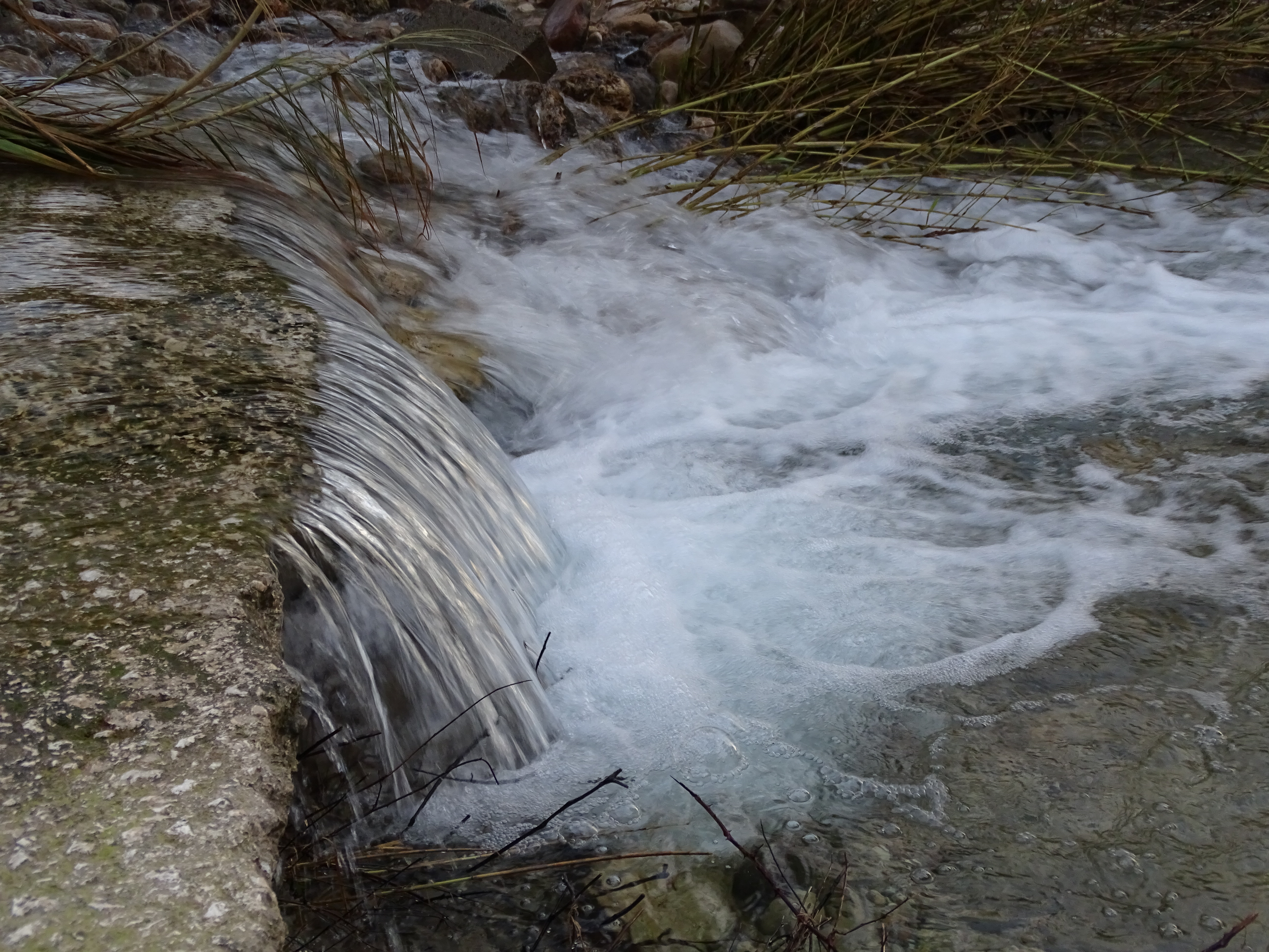 V MARATÓN FOTOGRÁFICA #ALCALALÍENFLOR – TEMÁTICA: RÍO