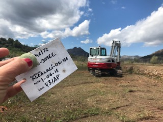 Alcalalí  – Xylella Fastidiosa