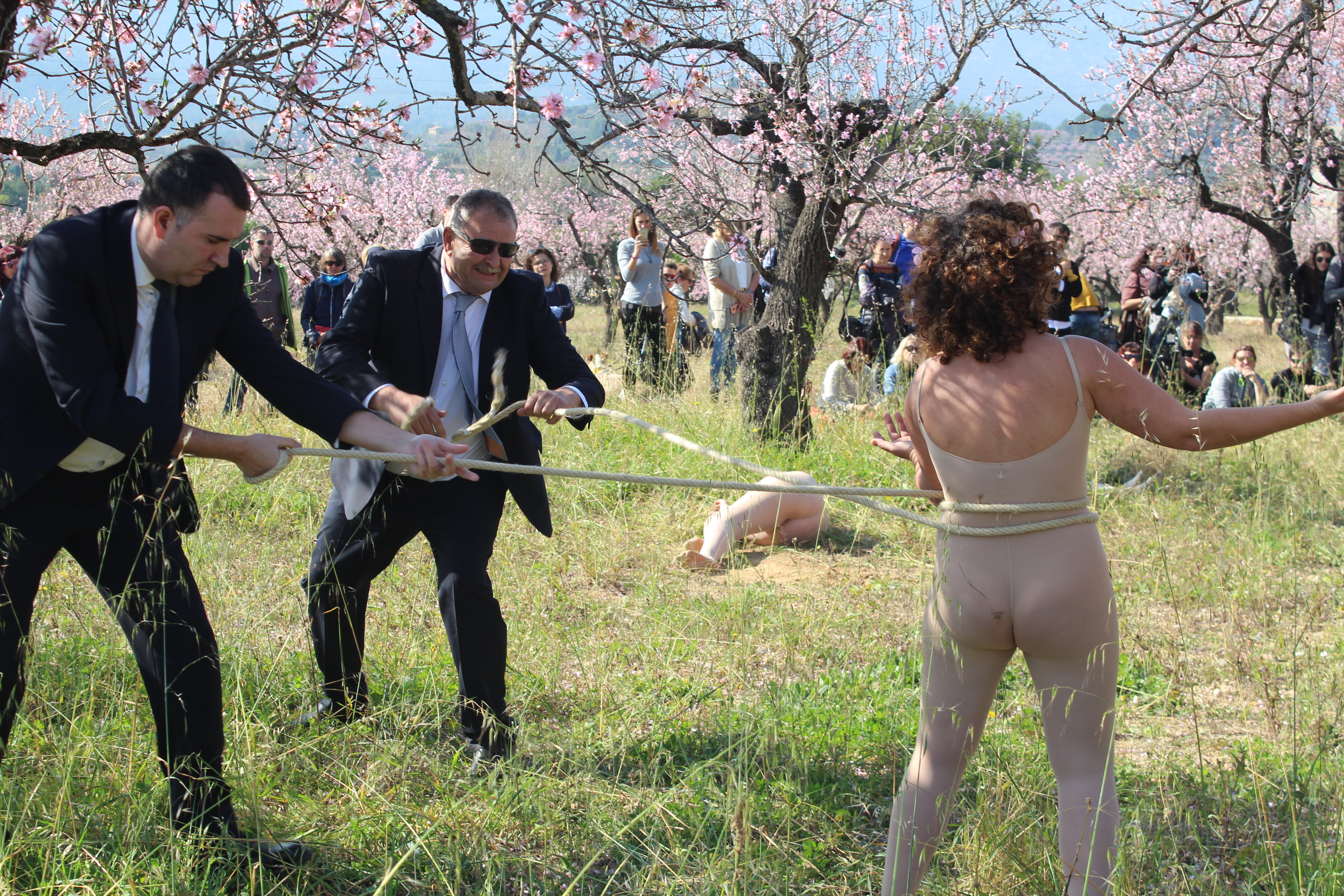 Performance «Xylella fastidiosa»