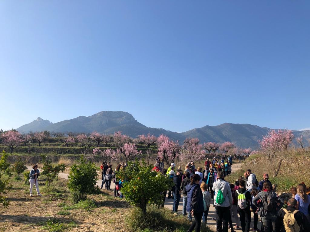 Feslalí, Alcalalí en flor – senderismo