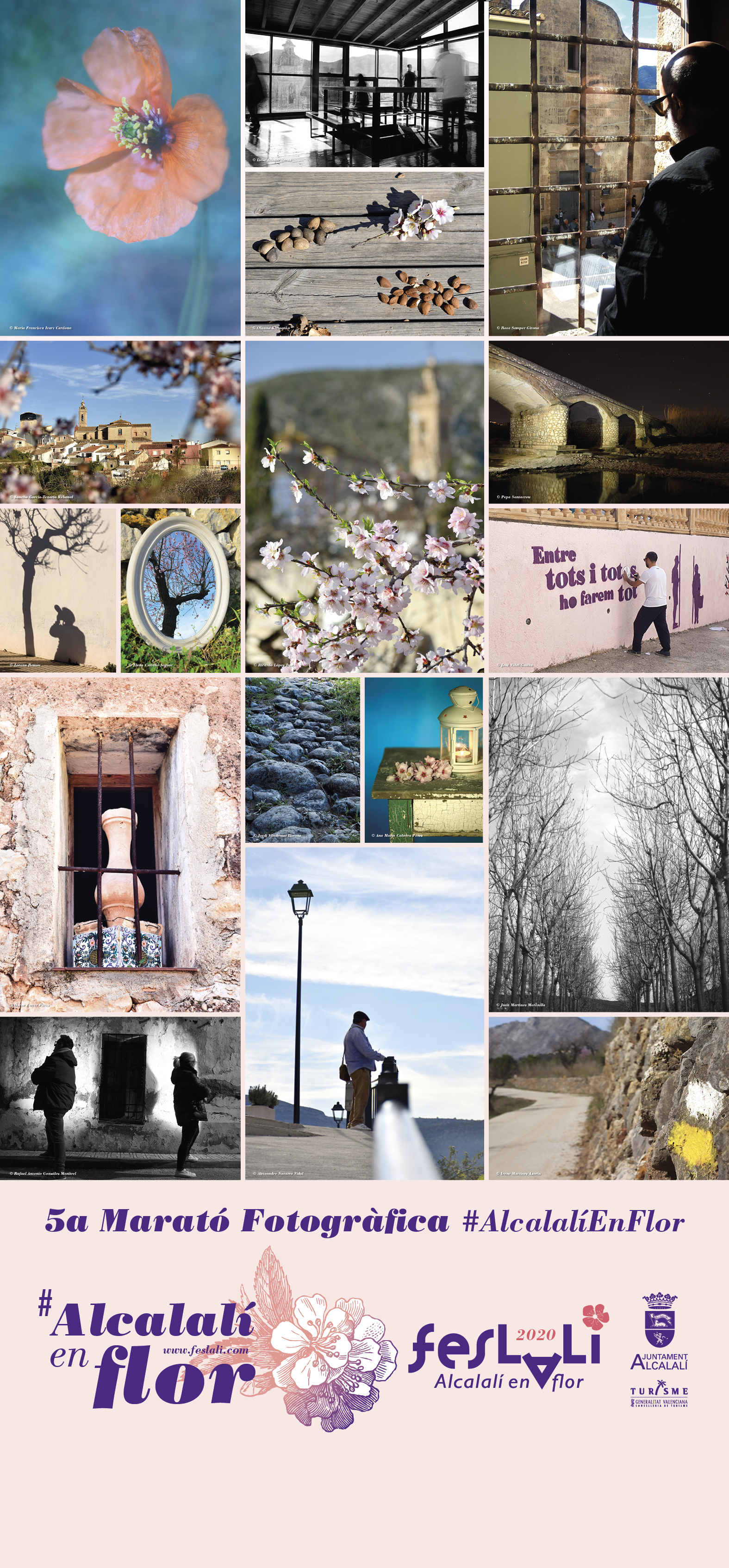 MARATÓN FOTOGRÁFICA ALCALALÍ EN FLOR – LIBRE